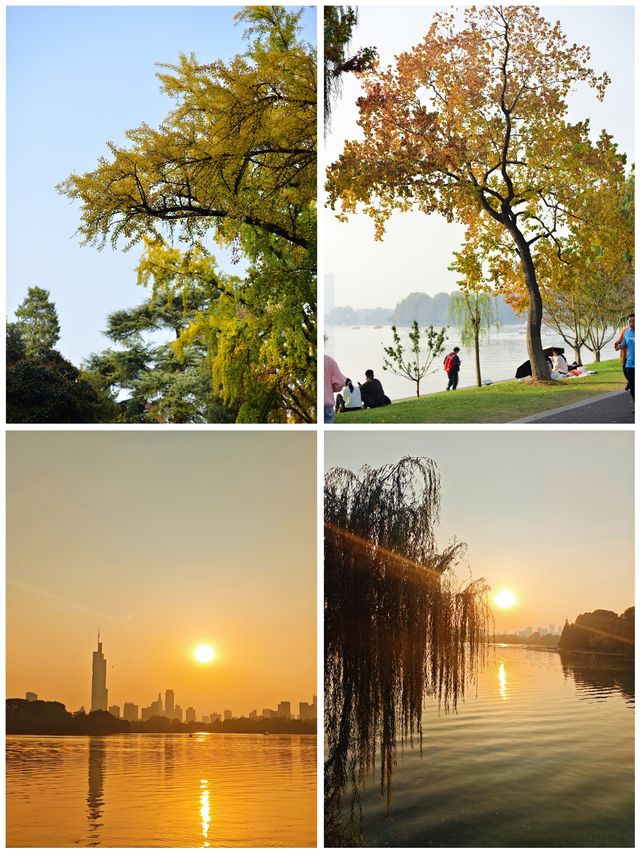 解鎖金陵秋日限定浪漫