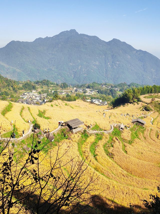 雲和梯田 雲和梯田
