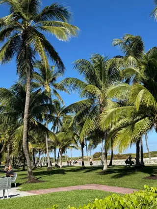 Spring Festival · Winter Break Must-Go! 14-Day East Coast School Visits + Florida Family Study Tour