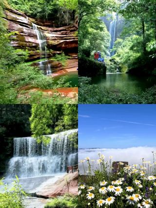Stroll through Huangjing Old Forest Scenic Area and lose track of time amidst the lush greenery