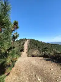 四明山十字褲徒步 上海-餘姚