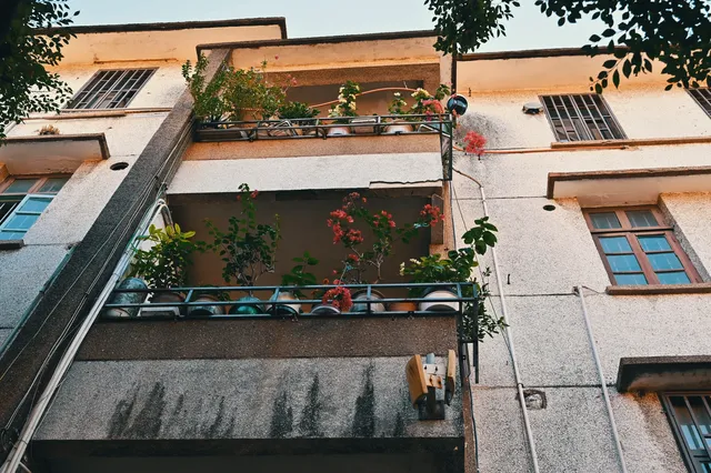 11月廈門，太適合晃晃悠悠了