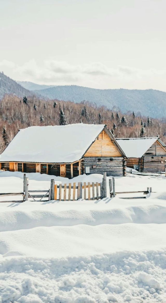 自駕新疆｜凜冬之際，與喀納斯的一場邂逅～