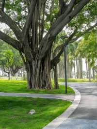 汕頭-潮州5日遊保姆級攻略看完直接衝就對了