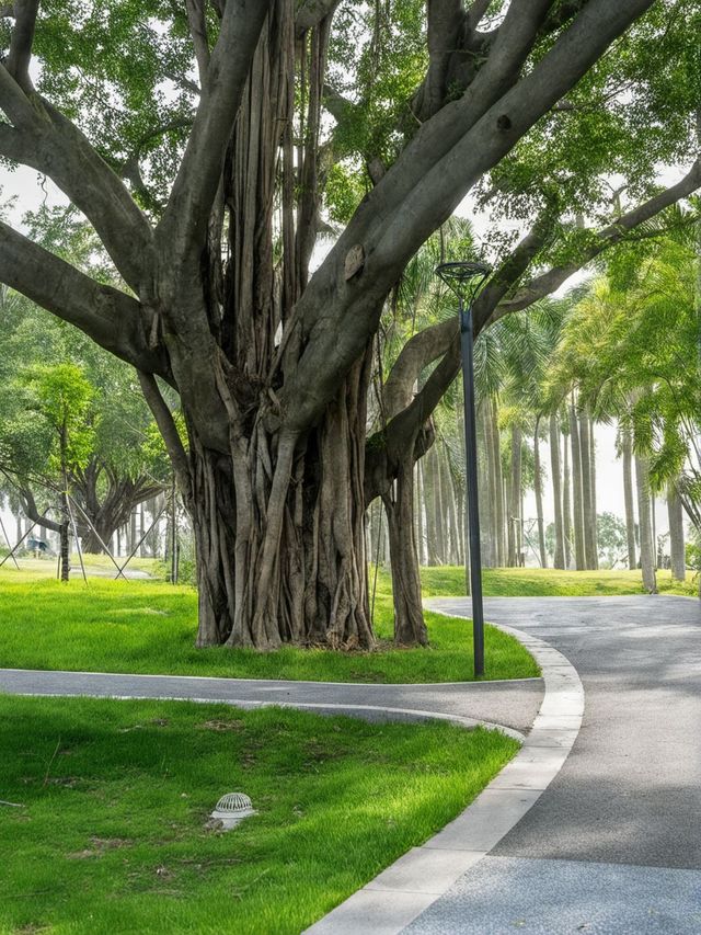 汕頭-潮州5日遊保姆級攻略看完直接衝就對了