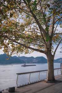 宜昌濱江:在長江岸線,邂逅老工業與深秋的詩意共鳴