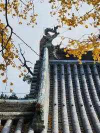 我宣佈,這是我河南最中意的小木頭房子