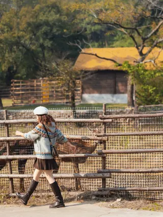 小鹿來囉 | 不在奈良不在良渚 在舟山餵小鹿