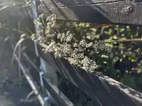 神仙谷隱藏玩法大公開！極限蹦極+深山尋寶