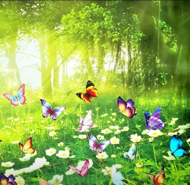 來北京國際鮮花港，邂逅鬱金香的天花板！