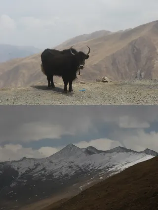 티베트족 피부 일일 체험 카드｜고원과 함께 호흡하기