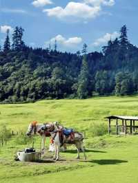 拉薩6日包車遊打卡聖地全攻略