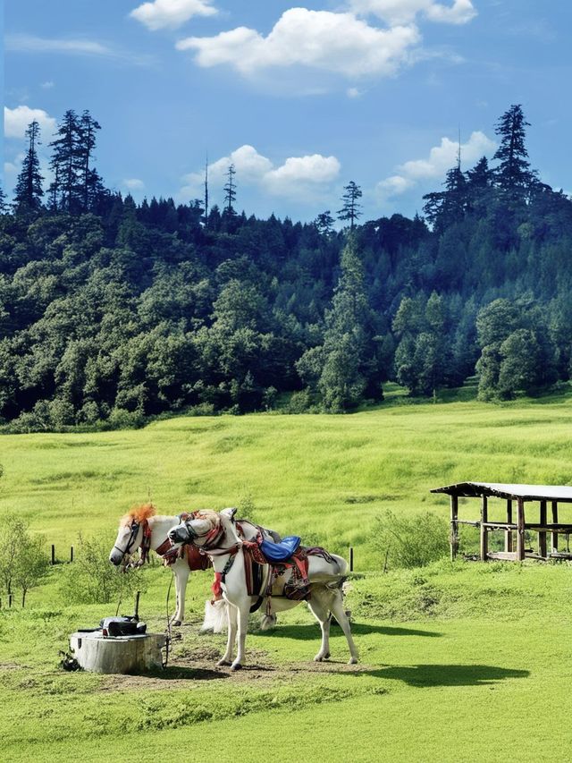 拉薩6日包車遊打卡聖地全攻略
