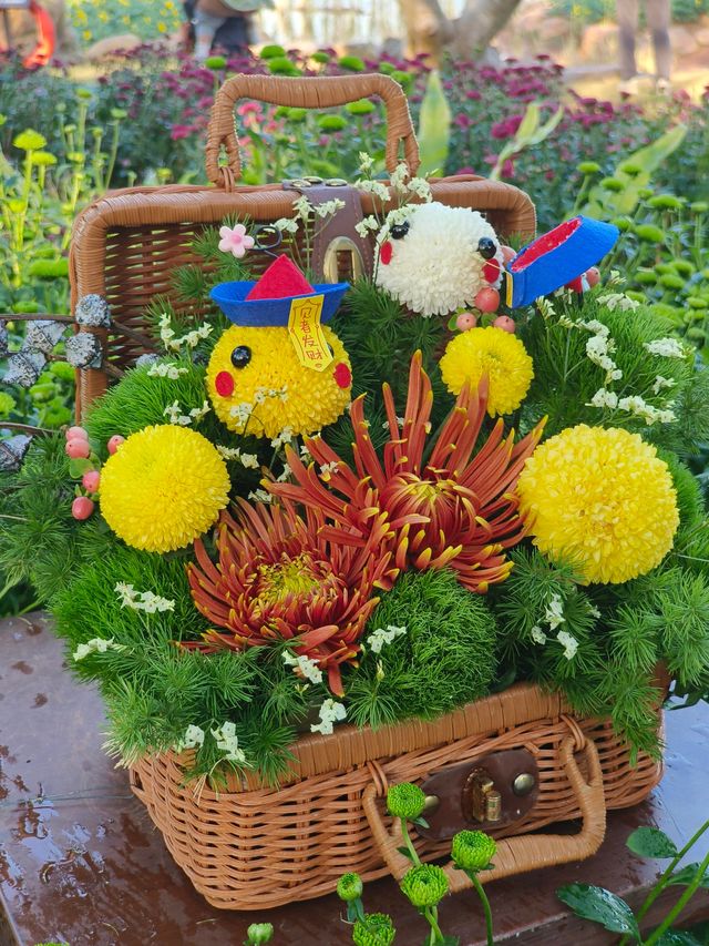 12月去南寧青秀山保姆級攻略 12月去南寧青秀山保姆級攻略