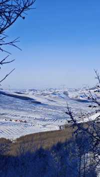 各位驢友，快來交換你們的樺皮嶺雪景圖|||樺皮嶺的
