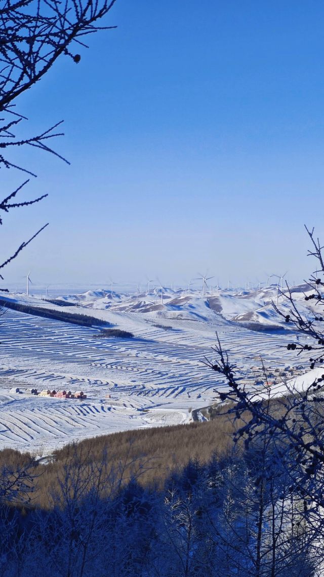 各位驢友，快來交換你們的樺皮嶺雪景圖|||樺皮嶺的