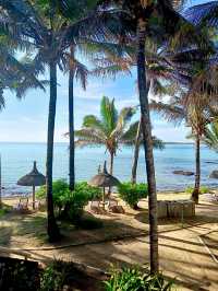 A Blissful Two-Week Stay at Tropical Attitude