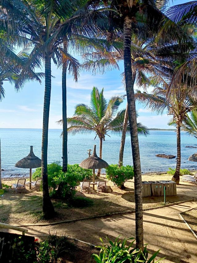 A Blissful Two-Week Stay at Tropical Attitude