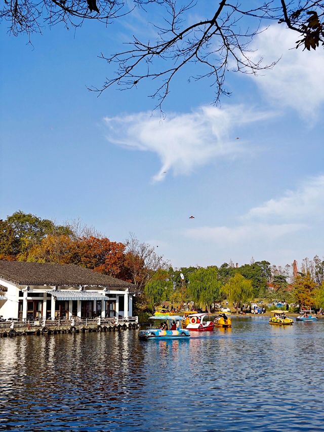 超全攻略!冬日共青森林公園賞秋絕了 超全攻略!冬日共青森林公園賞秋絕了