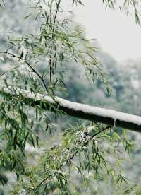 雪落徽州!打卡中國最美古村落的冰雪童話世界