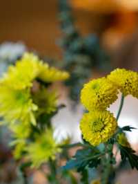 秋冬旅行住獨棟別墅醒來推開窗就是西安的古今浪漫!