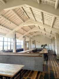 青浦私藏治癒路線！千年銀杏+關公咖啡+柴窯麵包的慢活美學