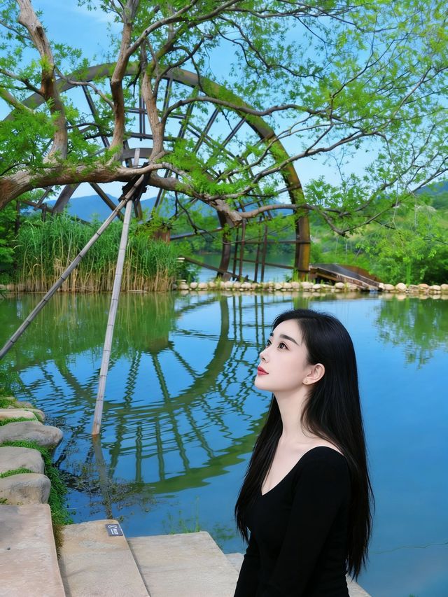 本以為要去大理才能找到的治癒感,沒想到 本以為要去大理才能找到的治癒感,沒想到