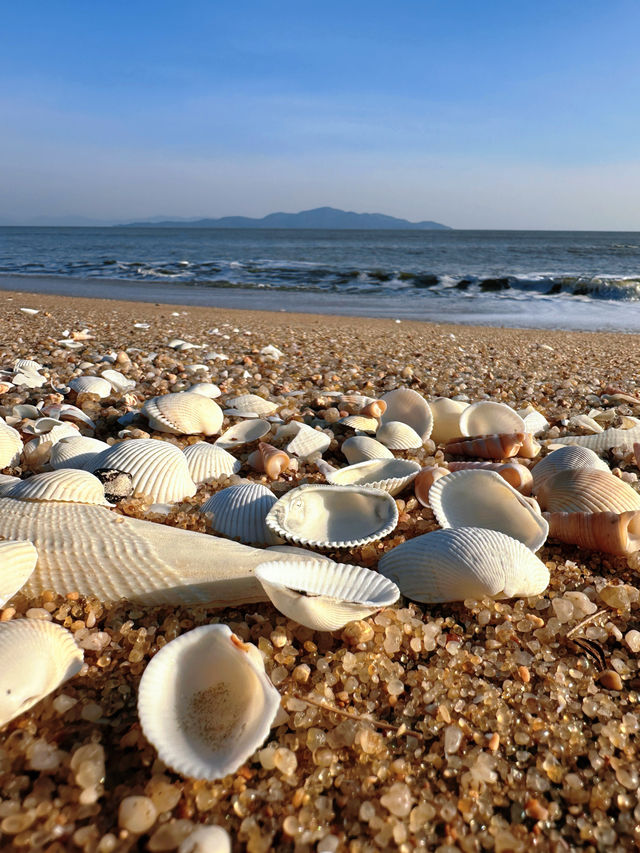 廣東小黃山「台山馬天頂」徒步攻略!美到失語,還會二刷! 廣東小黃山「台山馬天頂」徒步攻略!美到失語,還會二刷!