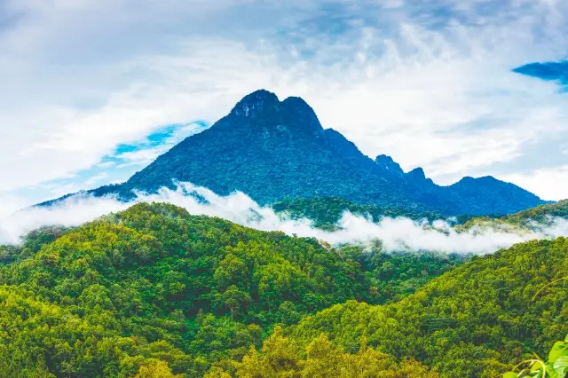 五指山探秘指南— 解鎖海南隱藏版「熱帶仙境」！