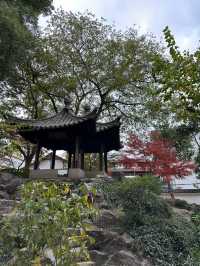 浙江紹興沈園見證千年的浪漫與悲歡