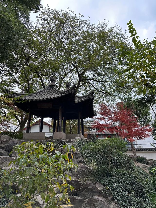 浙江紹興沈園見證千年的浪漫與悲歡 浙江紹興沈園見證千年的浪漫與悲歡