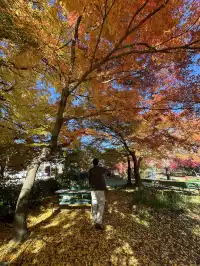 名古屋周邊|隱藏系絕美露營地