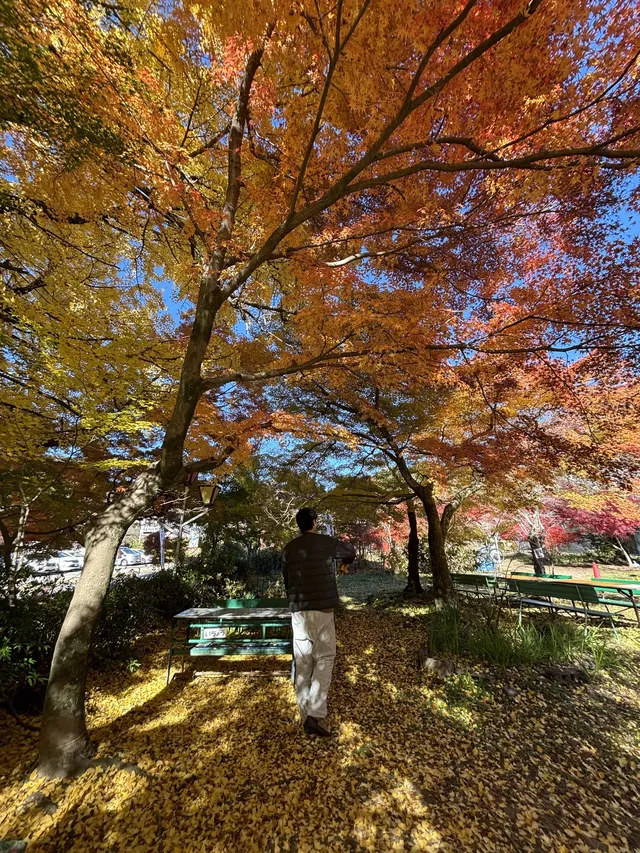 名古屋周邊|隱藏系絕美露營地 名古屋周邊|隱藏系絕美露營地