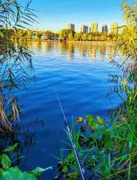 上海絕美紅葉秘境長風公園的秋天也太犯規了吧！