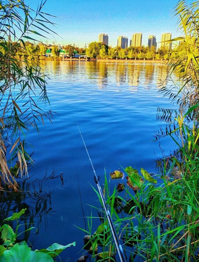 上海絕美紅葉秘境長風公園的秋天也太犯規了吧！