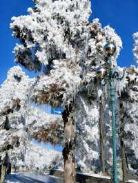 廬山兩天一夜看雪攻略|南方寶子的冰雪奇緣圓夢記