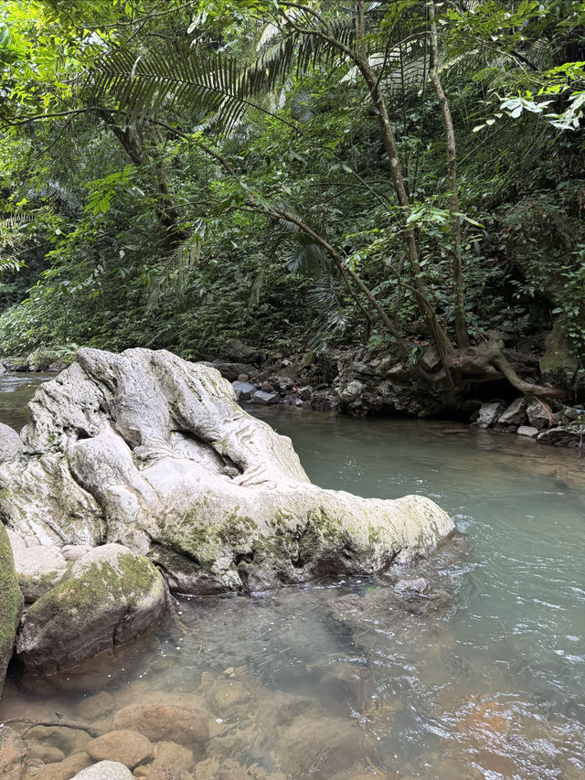 邊關勝境，峽谷奇觀