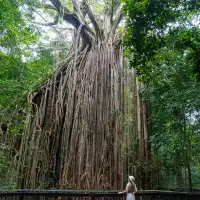 最後召集！聖誕新年大堡礁豪華4日含機票