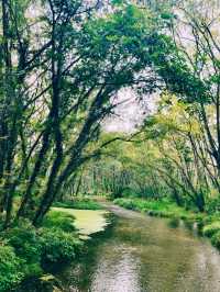 安徽!西溪南無人秘境指南