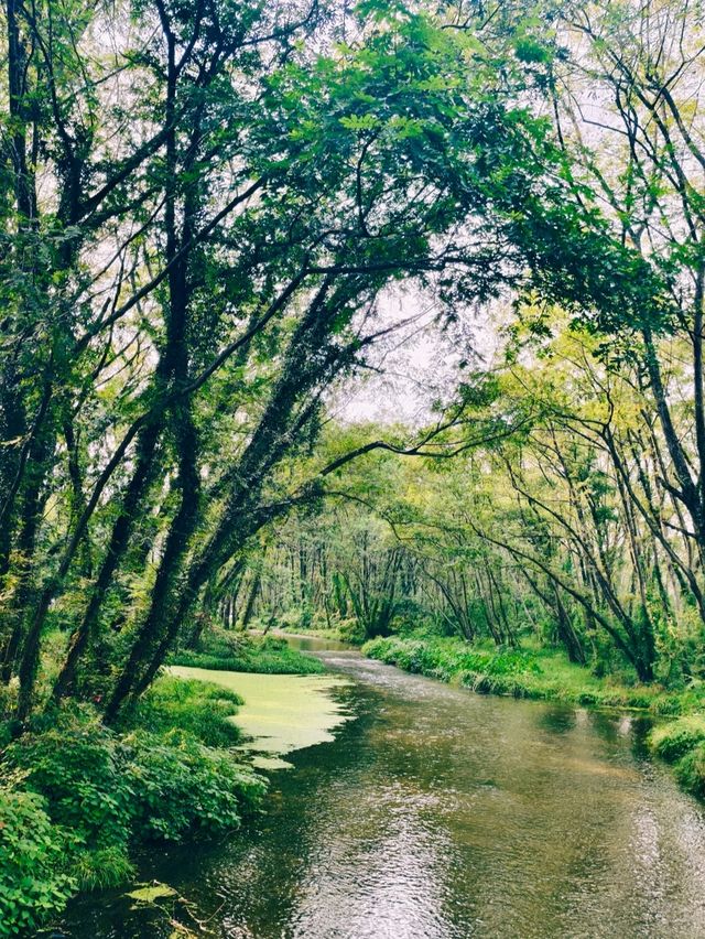 安徽!西溪南無人秘境指南 安徽!西溪南無人秘境指南