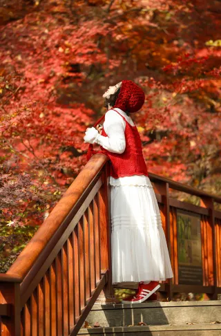 December 1st, Nanjing Qixia Mountain Red Maple Viewing Season ～ Route Included ～