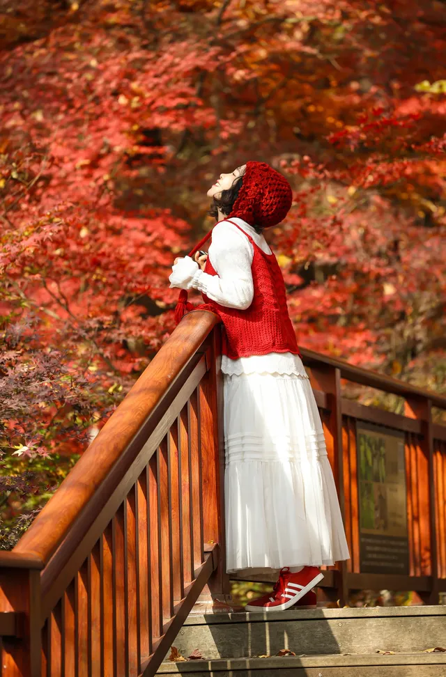 12·1南京棲霞山紅楓進入觀賞期～附路線～