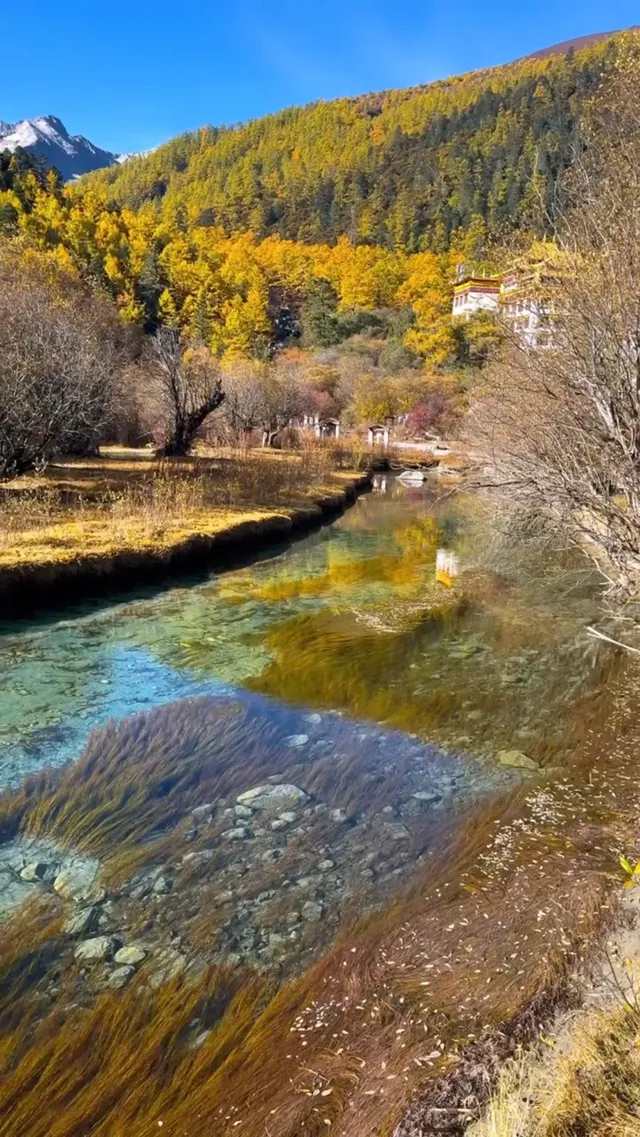 冬季川西四姑娘山稻城亞丁 冬季川西四姑娘山稻城亞丁