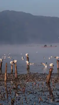 麗江3日躺平遊|拒絕特種兵!把日子過成詩