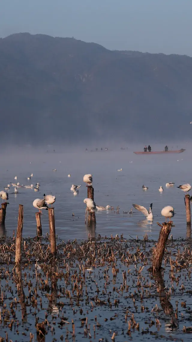 麗江3日躺平遊|拒絕特種兵!把日子過成詩 麗江3日躺平遊|拒絕特種兵!把日子過成詩
