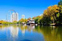 藏在城芯湟水畔，人文與自然的共生秘境