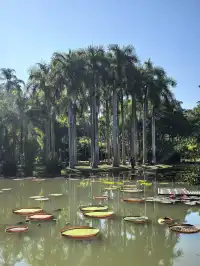 自駕第二十站｜西雙版納