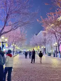 南寧-漠河-橫道河子-哈爾濱5天4夜旅遊攻略