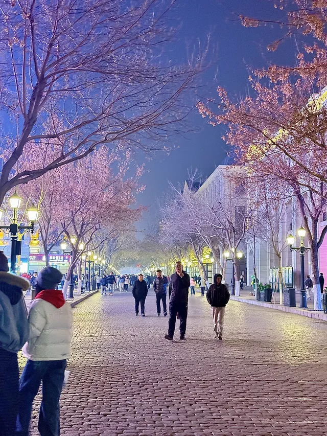 南寧-漠河-橫道河子-哈爾濱5天4夜旅遊攻略