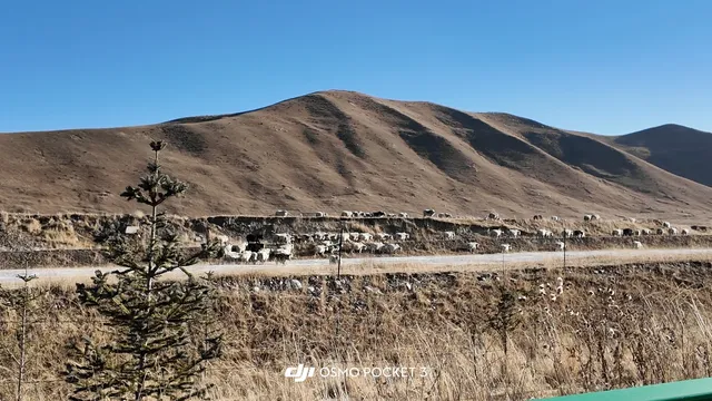 上海週末2日往返大西北！輕輕鬆鬆看雪山！